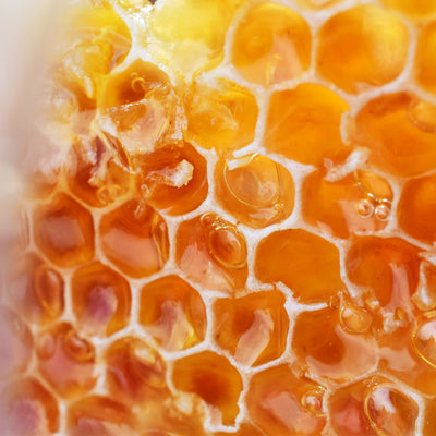 Royal jelly extract