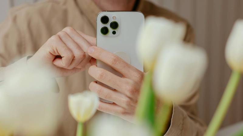best-free-phone-plans