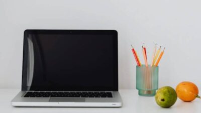 free-laptop-with-food-stamps