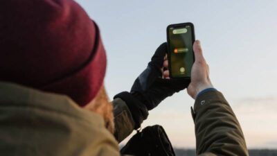 how-to-see-what-is-stored-on-sim-card