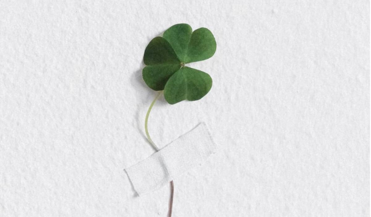 four-leaf-clover