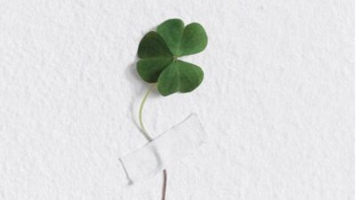 four-leaf-clover