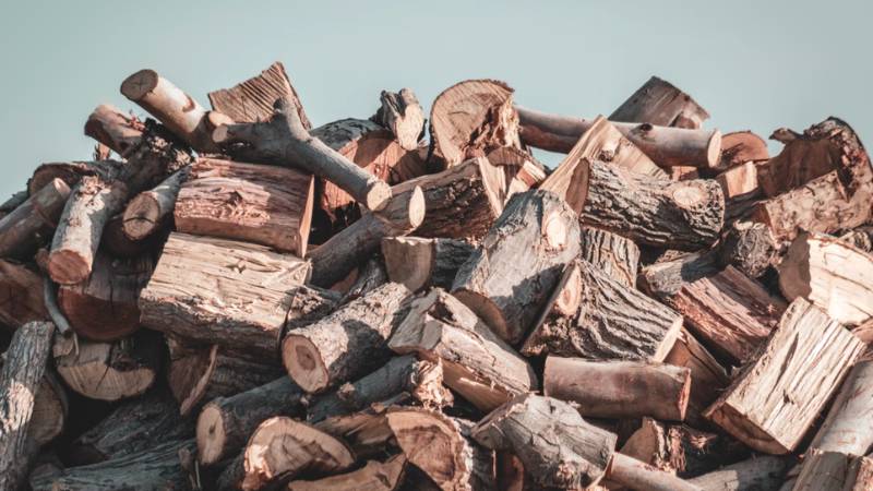 free-firewood-near-me-1