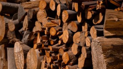 free-firewood-near-me